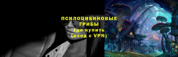 сатива Алзамай
