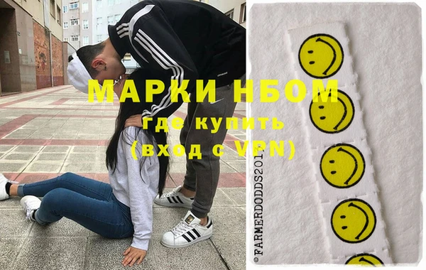сатива Алзамай
